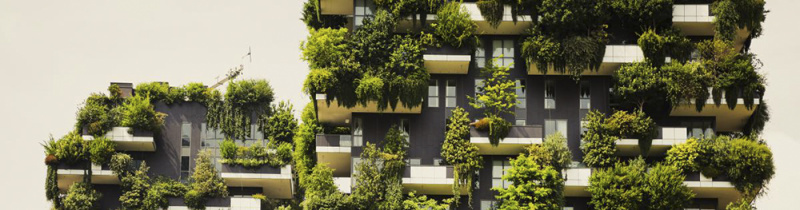 File:CIOB Eco apartments 1000.jpg