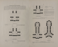 Thumbnail for version as of 12:25, 2 April 2025