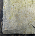 Thumbnail for version as of 09:56, 7 March 2025