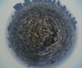 Thumbnail for version as of 22:43, 7 May 2026