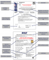 Thumbnail for version as of 16:15, 29 May 2024