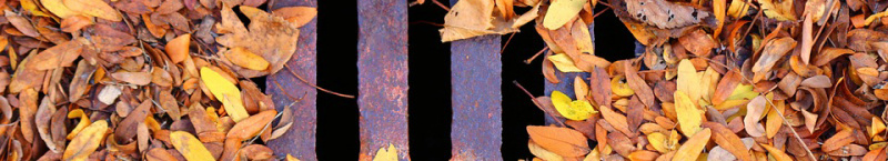 File:Leaves-Sewer-Drain banner.jpg