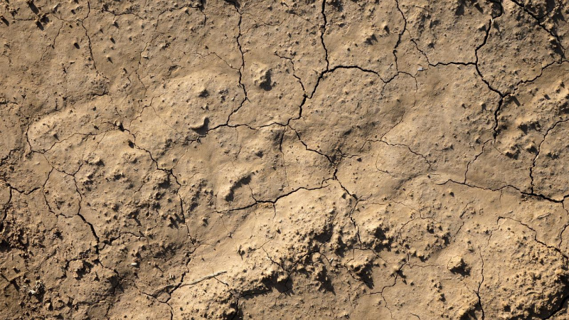 File:Drought-g7a74af498 1280.jpg