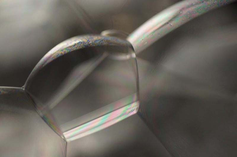 File:Shutterstock 230714980.jpg