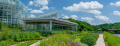 Thumbnail for version as of 08:05, 23 February 2020