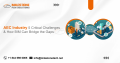 Thumbnail for version as of 10:00, 7 August 2024