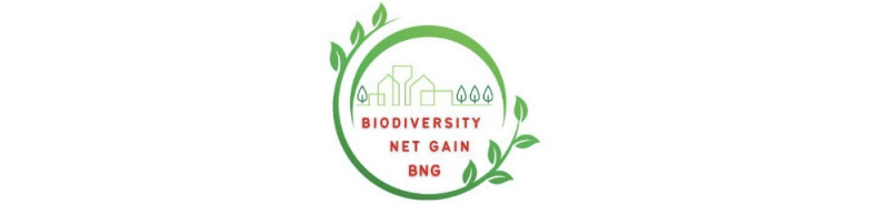 File:Biodiversity net gain 1000.jpg