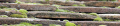 Thumbnail for version as of 08:26, 28 April 2023