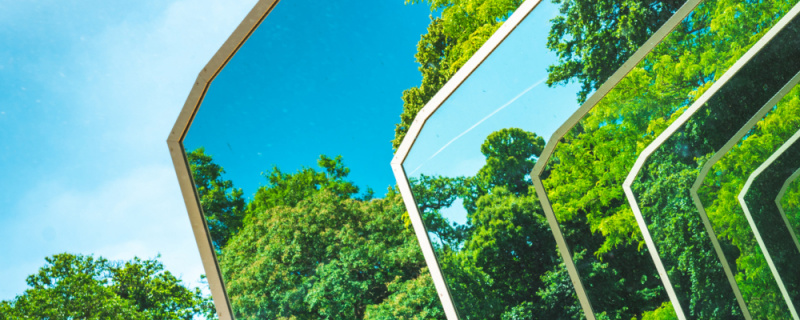 File:CIOB nature iStock-1450420876 1000.jpg