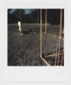 Thumbnail for version as of 09:36, 18 October 2023