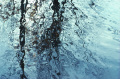Thumbnail for version as of 12:32, 13 February 2019