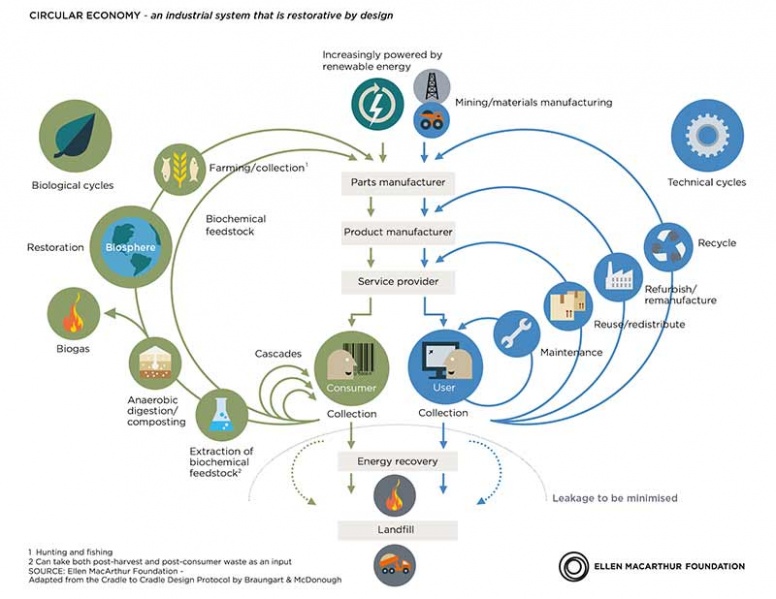 File:Wholelifecycle2.jpg