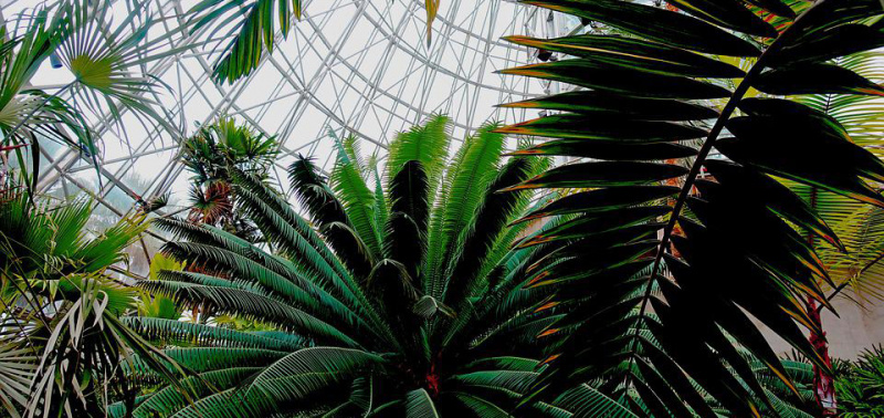 File:Biosphere-Botanical-Garden.jpg