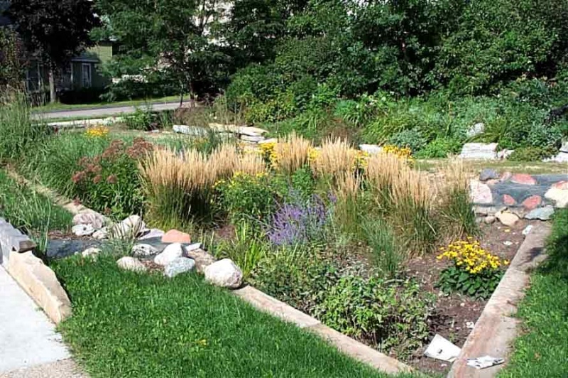 File:RainGarden.jpg