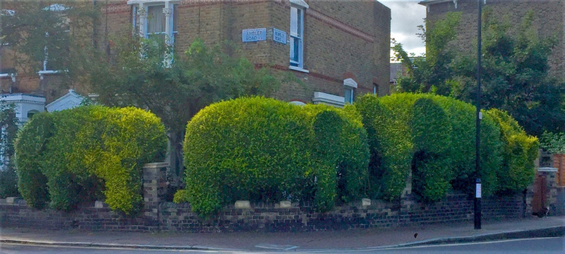 File:Topiary.jpg