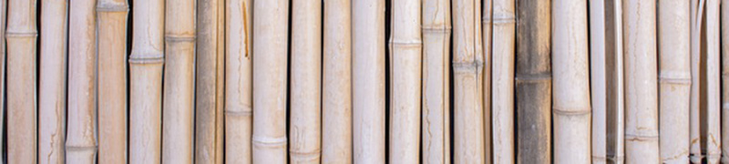 File:Bamboo-4705912 banner.jpg