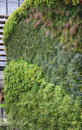 Cheshire Oaks - Living Wall.JPG