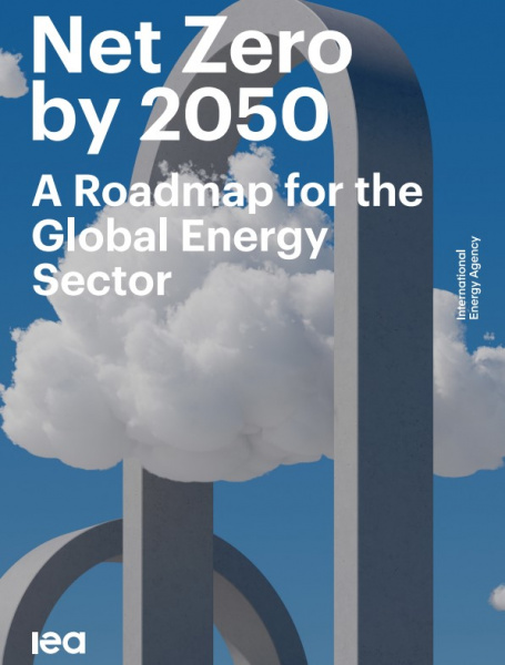 File:NZ2050.jpg