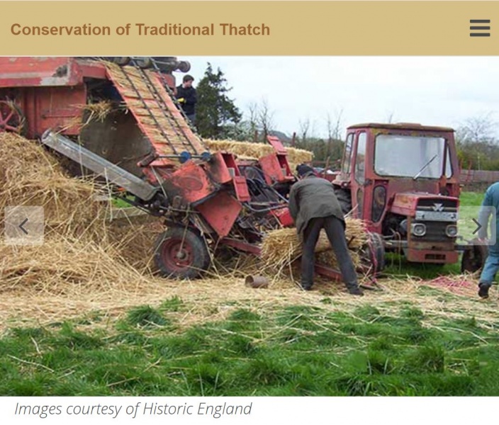File:Conservation of Thatch2017.JPG