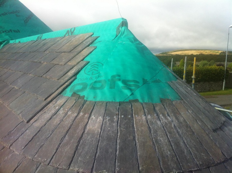 File:Snall Roof - mistake.JPG