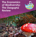 Thumbnail for version as of 06:23, 24 September 2024