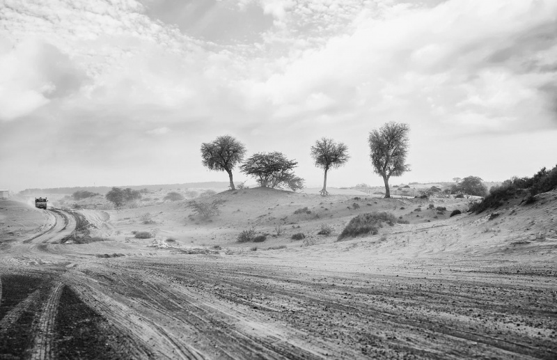 File:Desert-geb305cbad 1280.jpg