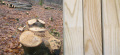 Thumbnail for version as of 15:12, 8 November 2022