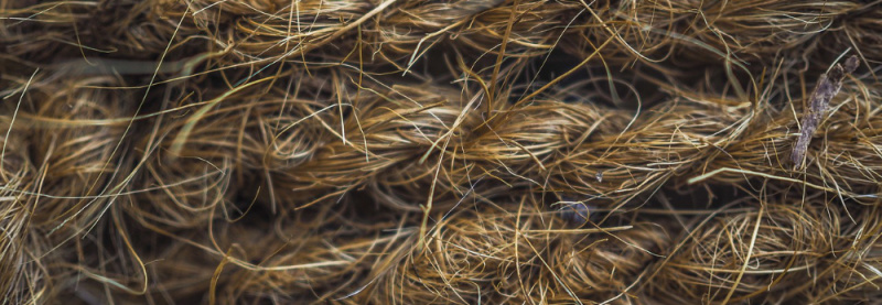 File:Hemp-4754707 1000.jpg