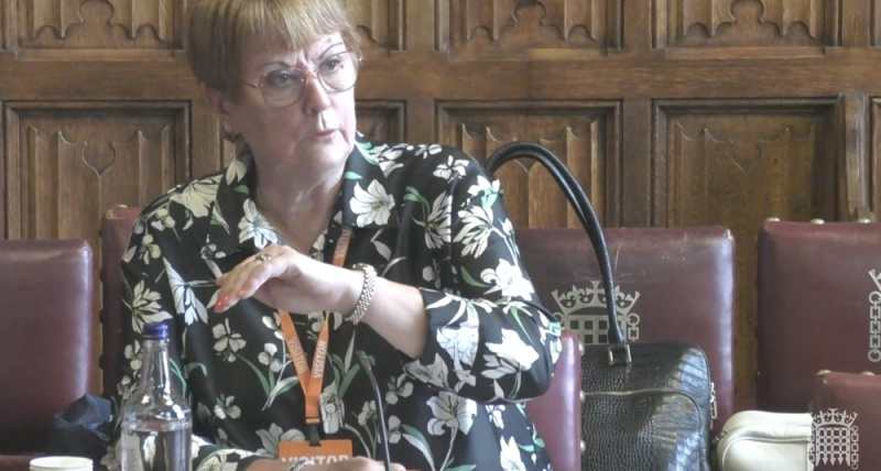 File:Dame Hackitt commons 1000.jpg